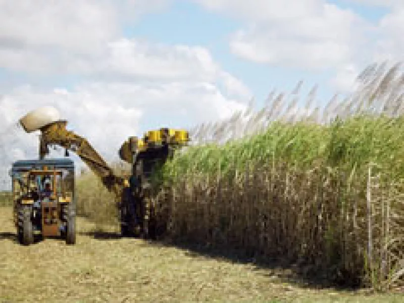 México necesita enlazar las políticas federales y estatales para un desarrollo regional. (Foto: Archivo)