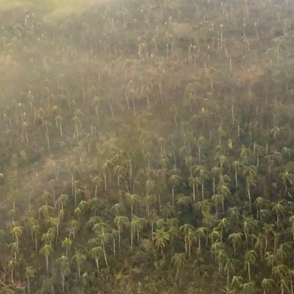 tifon_haiyan_vistas_aereas