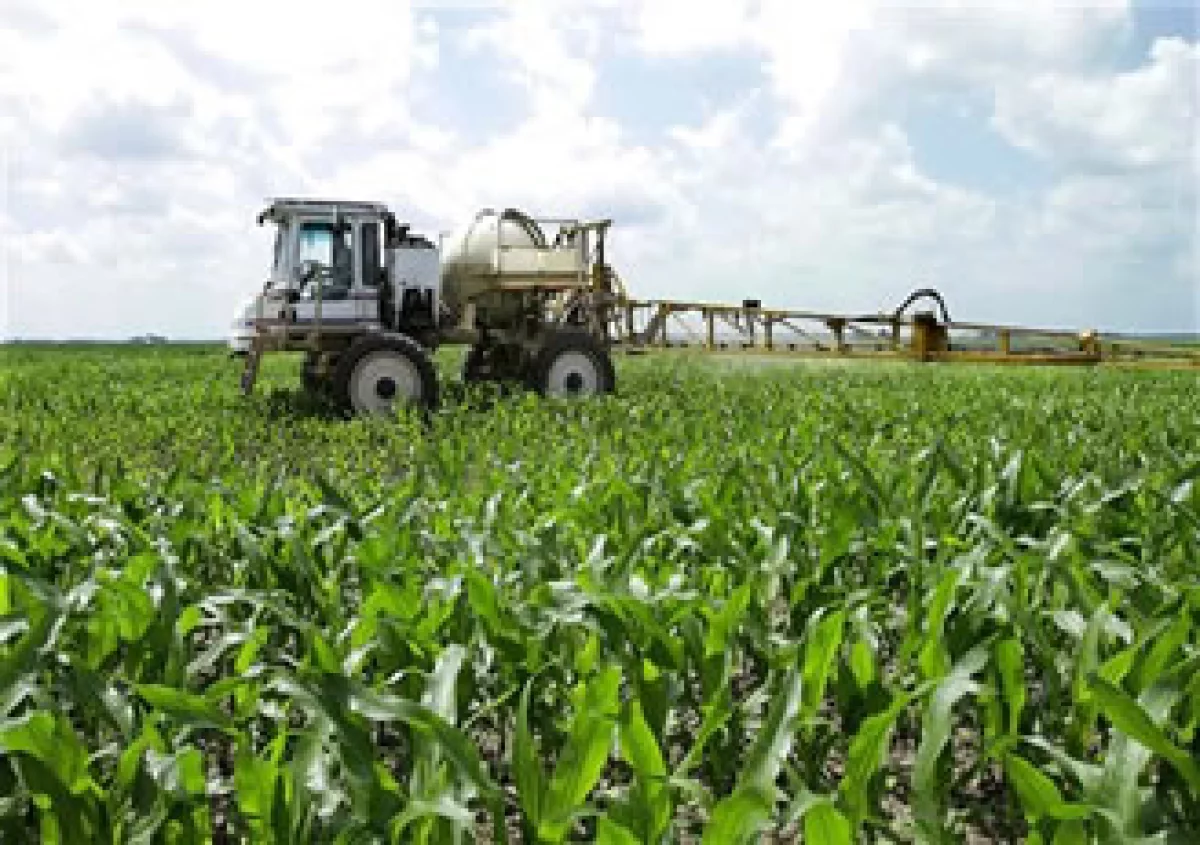 El cambio climático afectará a los productos agrícolas en todo el mundo, concluyó APEC. (Foto: AP)