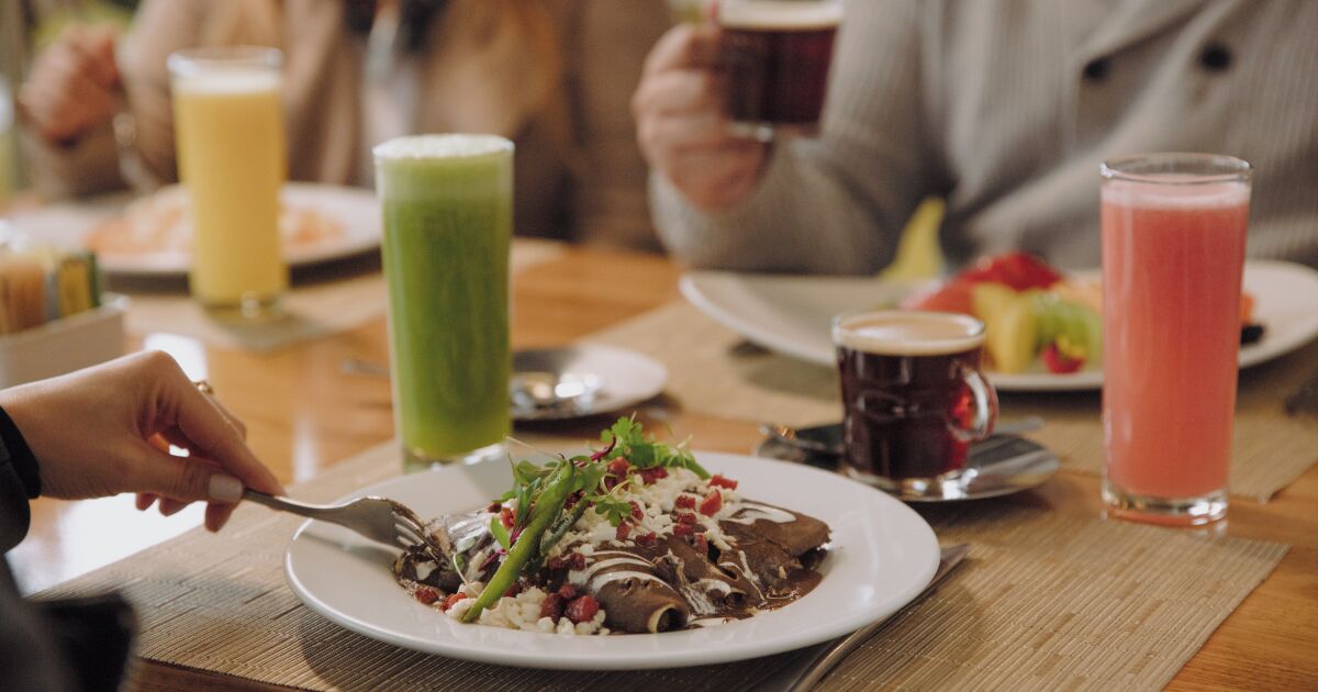 Parque Plaza Satélite'de Lezzet Karnavalının Keyfini Çıkarın