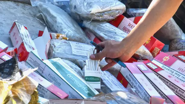 Destrucción cigarros