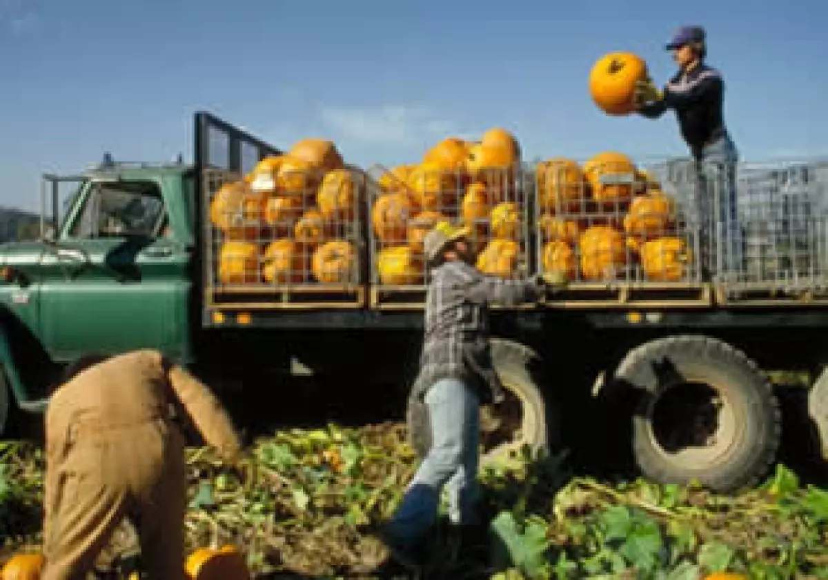 El empresario Patrick Struebi exporta frutas que fueron sembradas en México, con prácticas sustentables y una estructura operativa organizada. (Foto: Jupiter Images.¿)