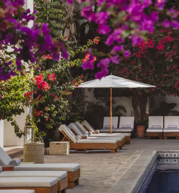 Foto del interior del hotel Tropicana Los Cabos recién remodelado y reabierto al público en el centro de San José del Cabo.