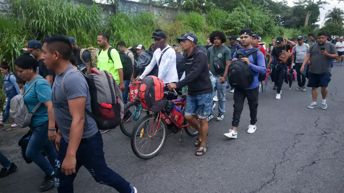 migrantes