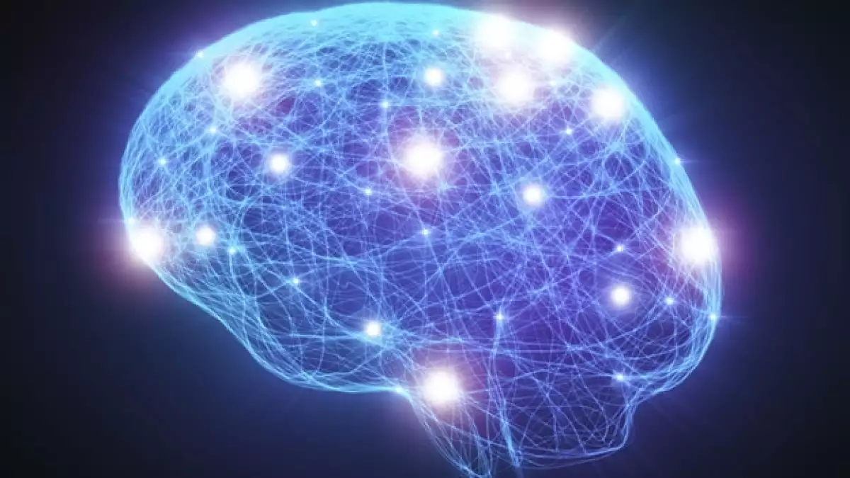 La actividad del cerebro humano registra una actividad similar cuando un persona sueña que cuando consume drogas psicodélicas