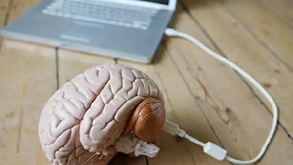 Existen tres zonas en el cerebro que influyen en la toma de decisiones. (Foto: Getty Images)