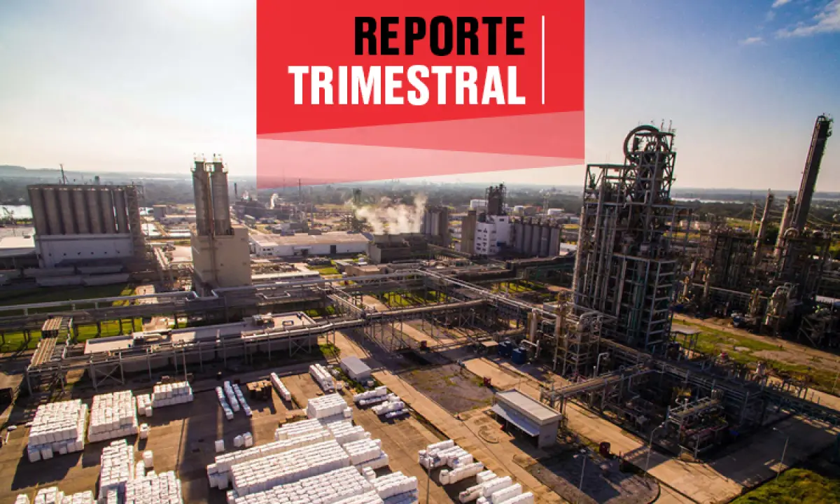 Alfa y resultados trimestrales