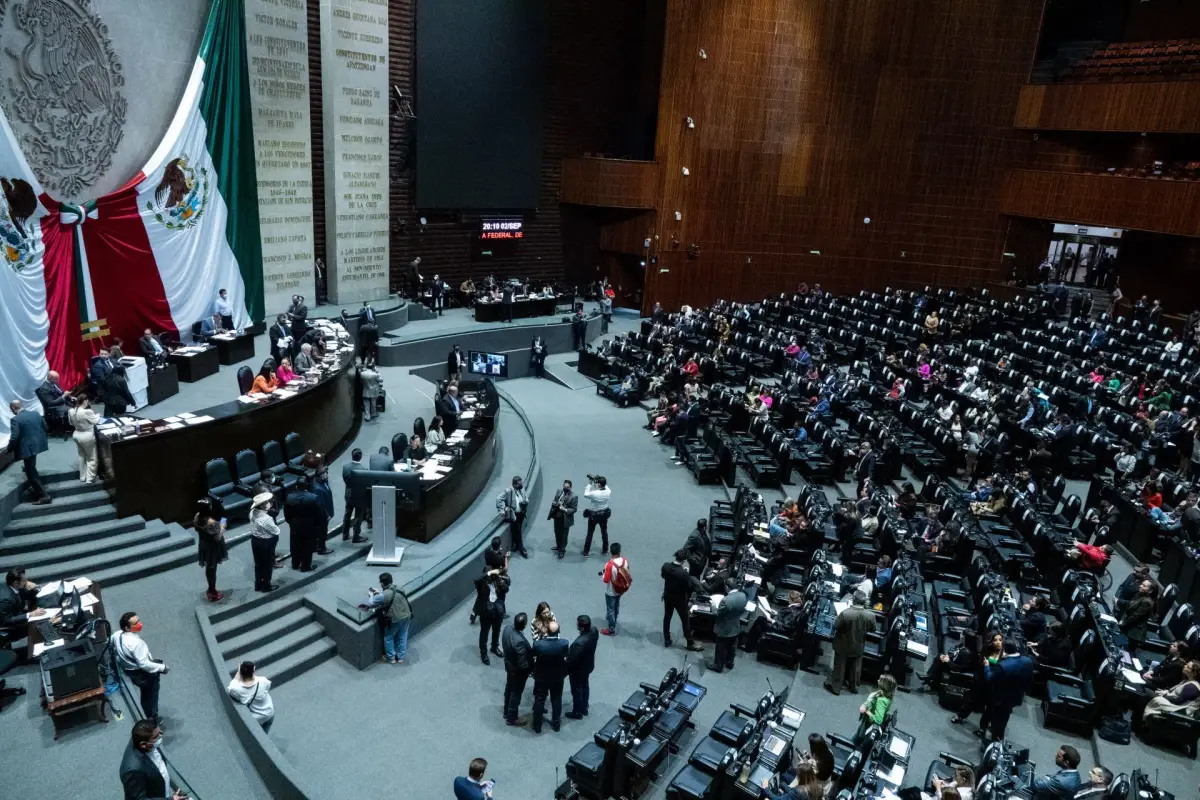 cámara de diputados