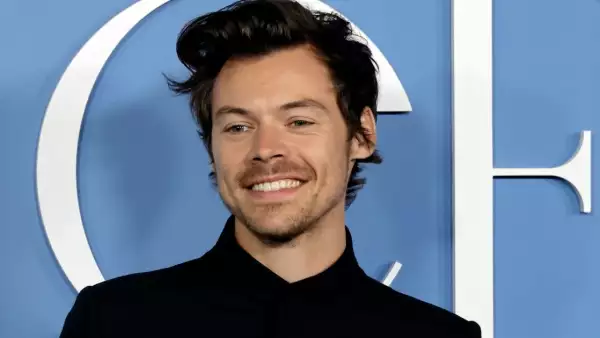 harry-styles-juguetes-sexuales.jpg