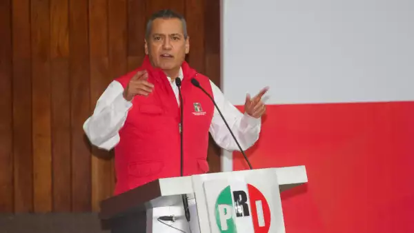 El dirigente nacional de tricolor aseguró que sus diputados revisarán el contenido del artículo para evitar una mala interpretación del mismo.