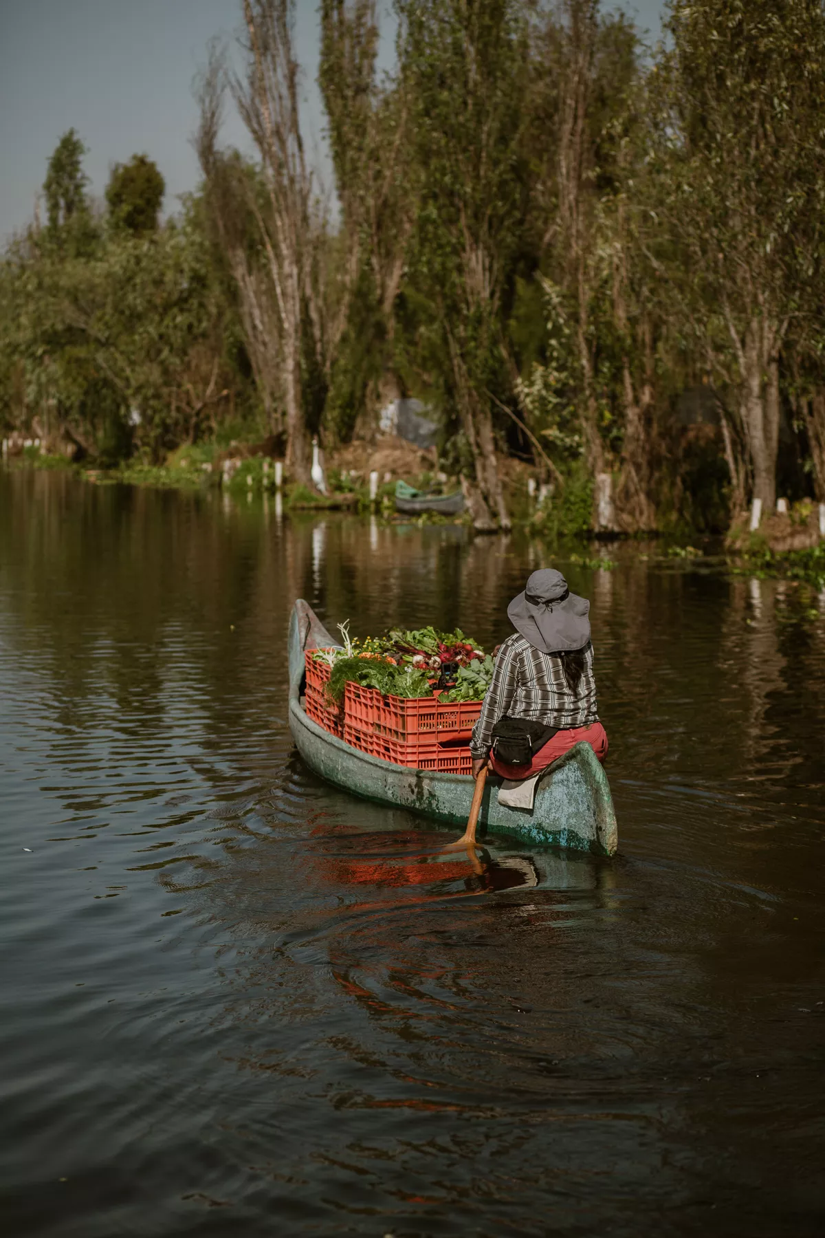 Chinampa_Veneta