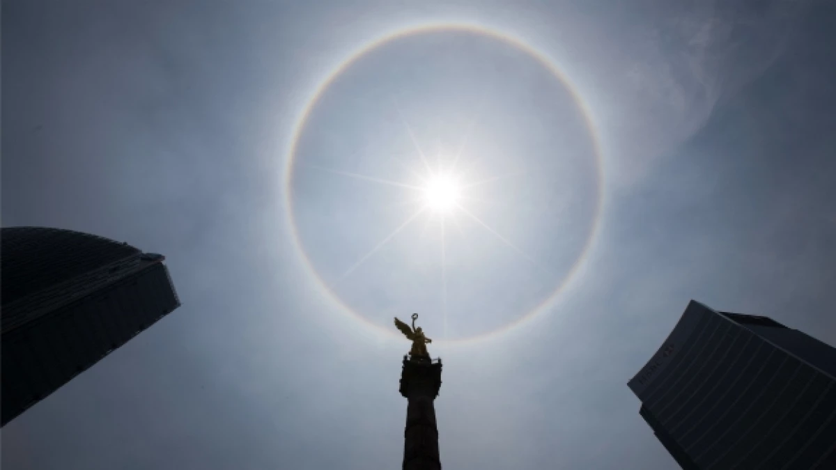 halo solar