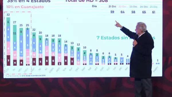 homicidios_fiestas_dicimbre_2024