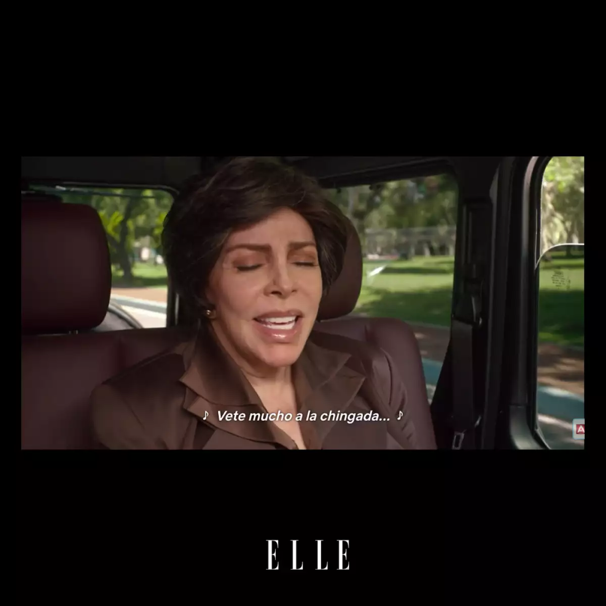 La-Casa-De-Las-Flores-Meme-ELLE-11