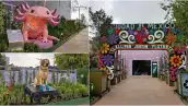 jardin flotante tlalpan.jpg