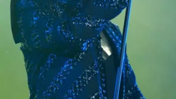 Un incendio interrumpió la noche, pero la marina y la policía del estado controlaron las llamas, por lo que ambos grupos deleitaron a miles de fans que se dieron lugar en Veracruz para el festival.