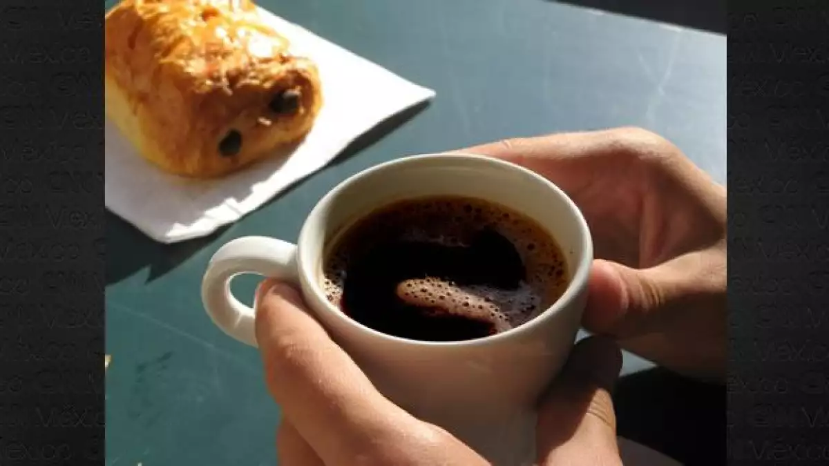 cafe ideas ponencia ted global 2010