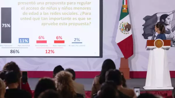 Sheinbaum encuesta fake news.jpeg