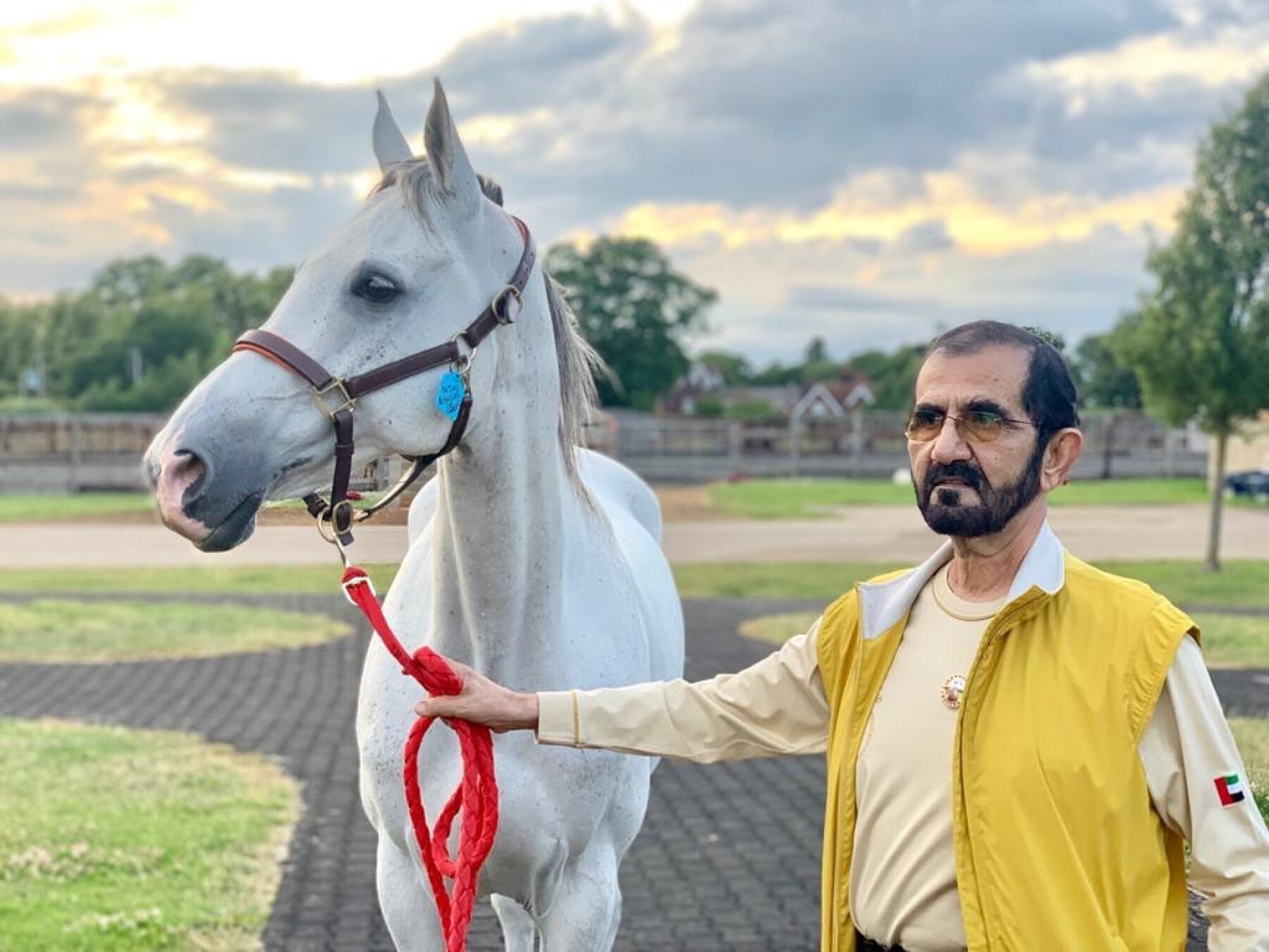 Mohammed bin Rashid