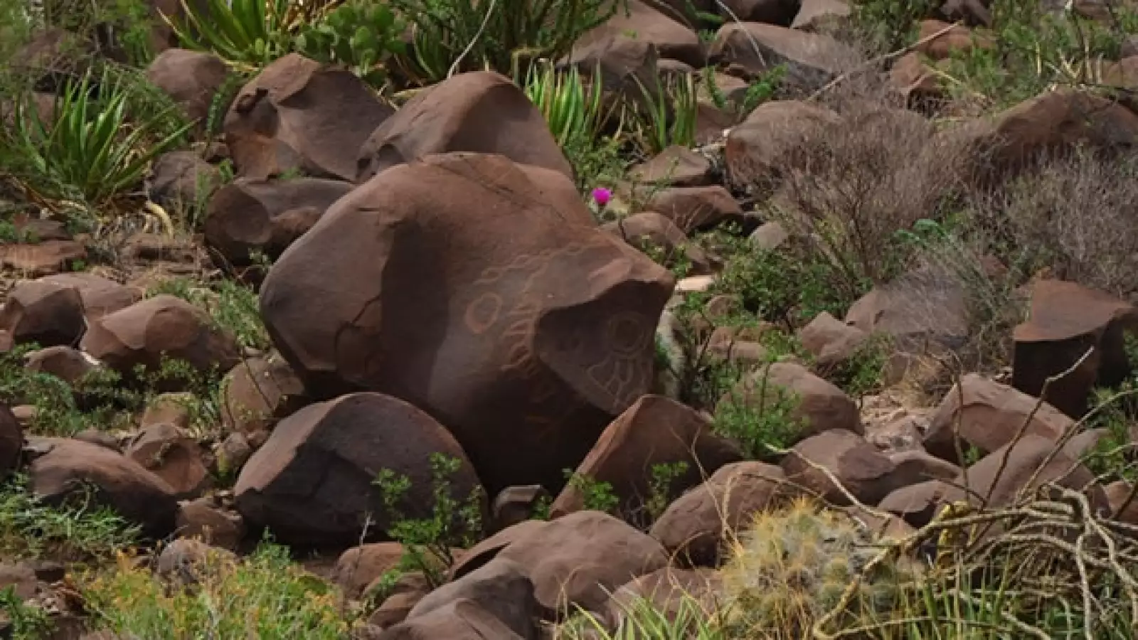 narigua, coahuila, arqueologia, petrograbado