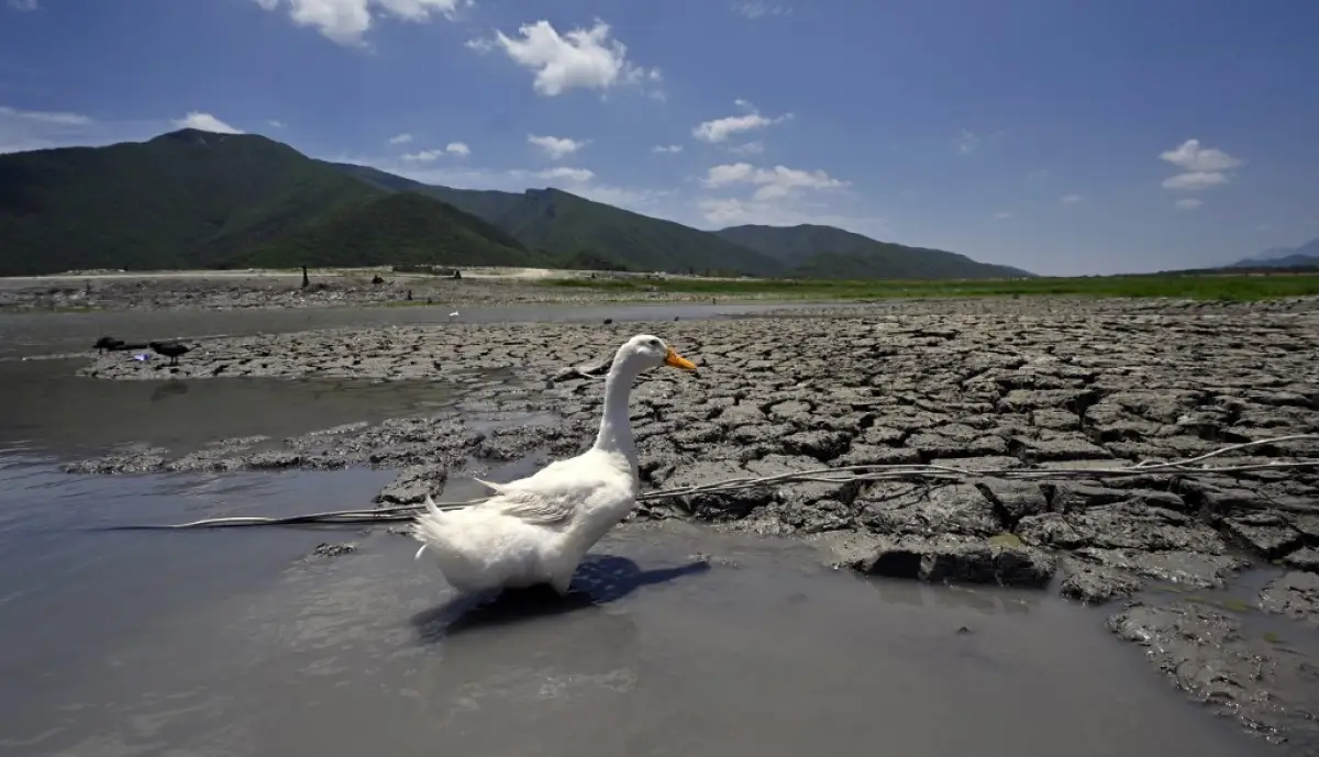 efectos cambio climático 