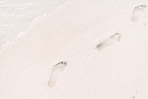 roman-kraft-279919-unsplash