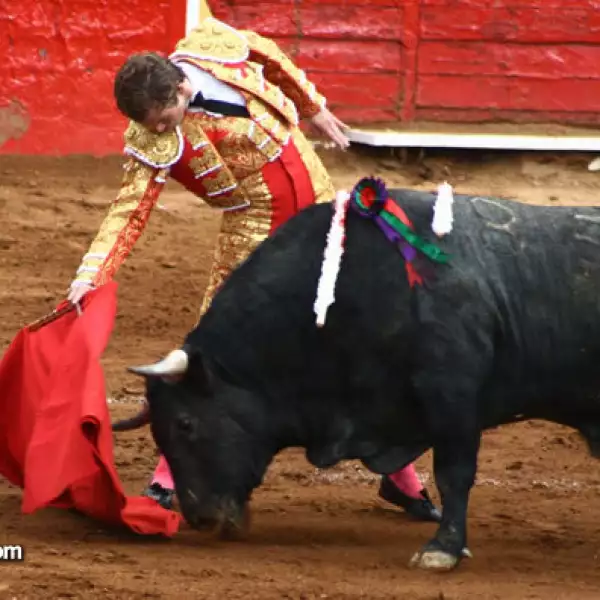 Octavio García (el Payo)