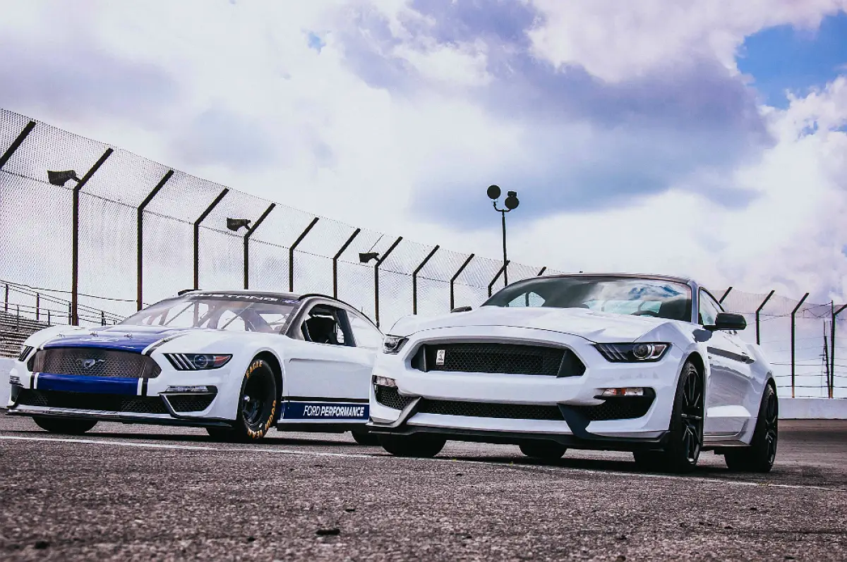 Mustang Cup