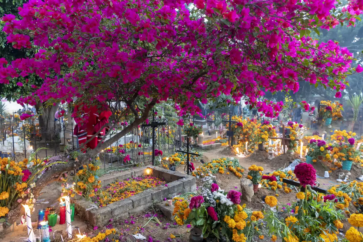 Los mejores destinos para celebrar el Día de Muertos 
