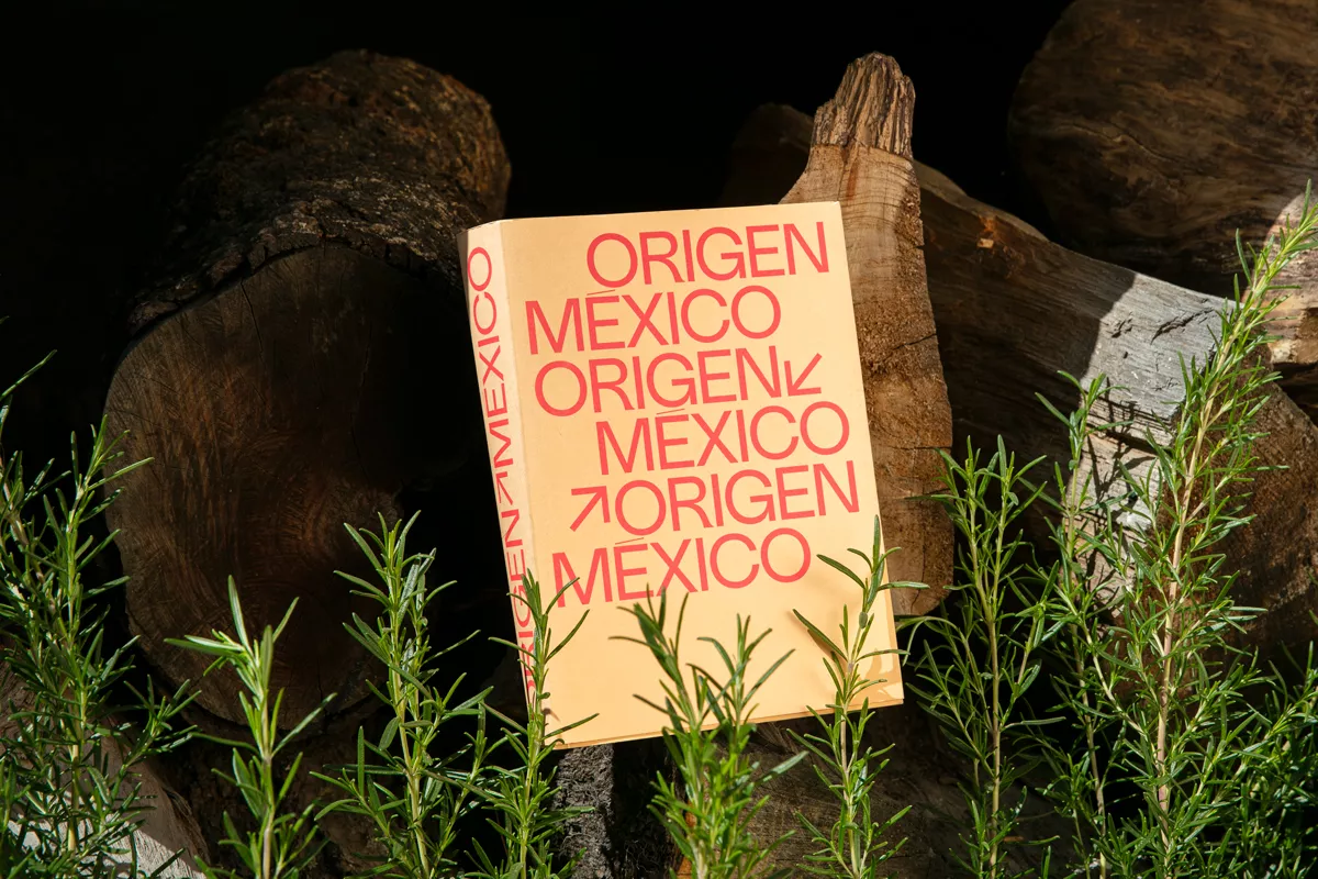 Libros para regalar