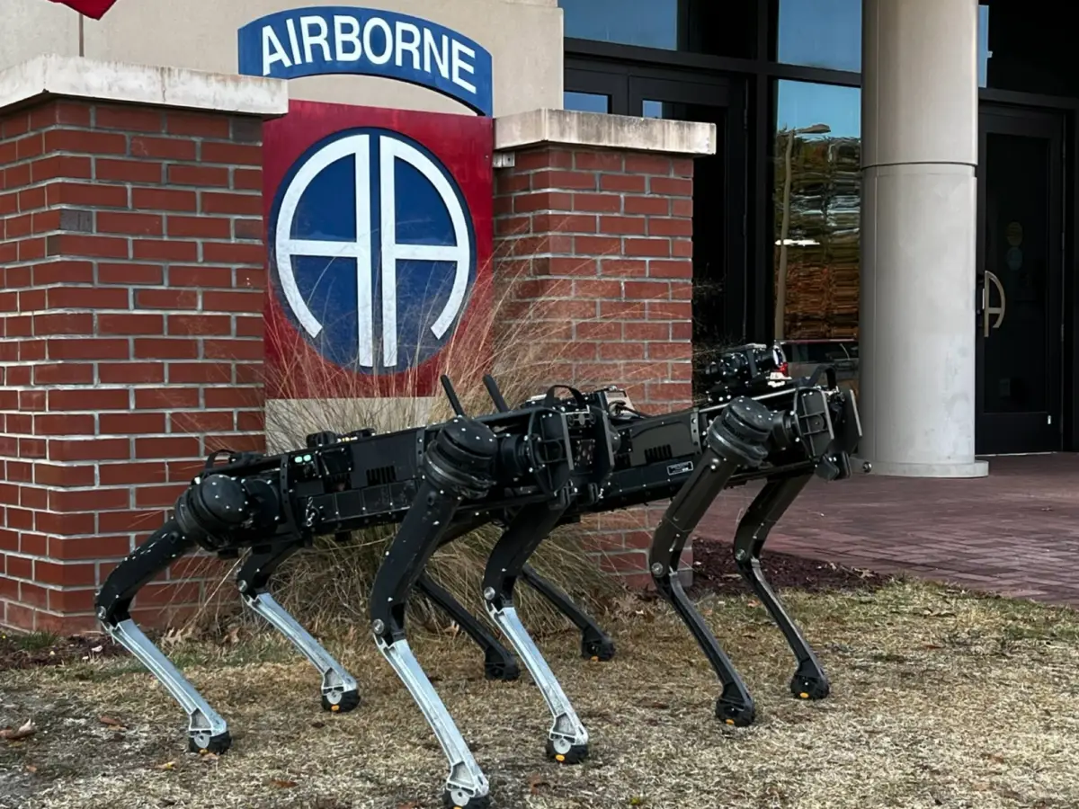 perros-robot-frontera