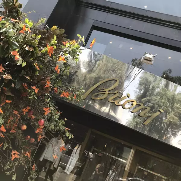 Brioni-Polanco-En-Flores