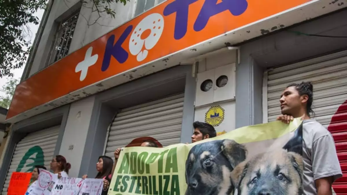 Un grupo de personas protestando en contra de una de las tiendas +KOTA en la Ciudad de México este domingo