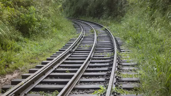 Vía de ferrocarril en la selva