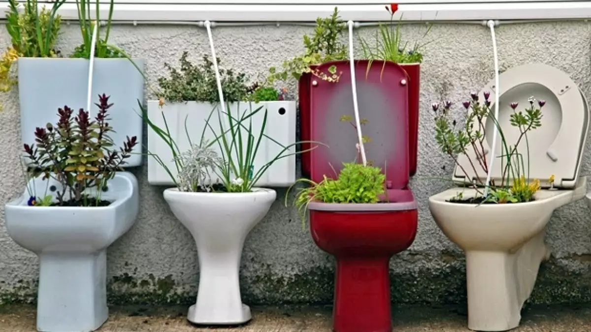 El objetivo es fomentar el saneamiento en lugares sin sistemas de drenaje, por lo que los nuevos excusados pueden generar electricidad y reciclar el agua de los desechos humanos.