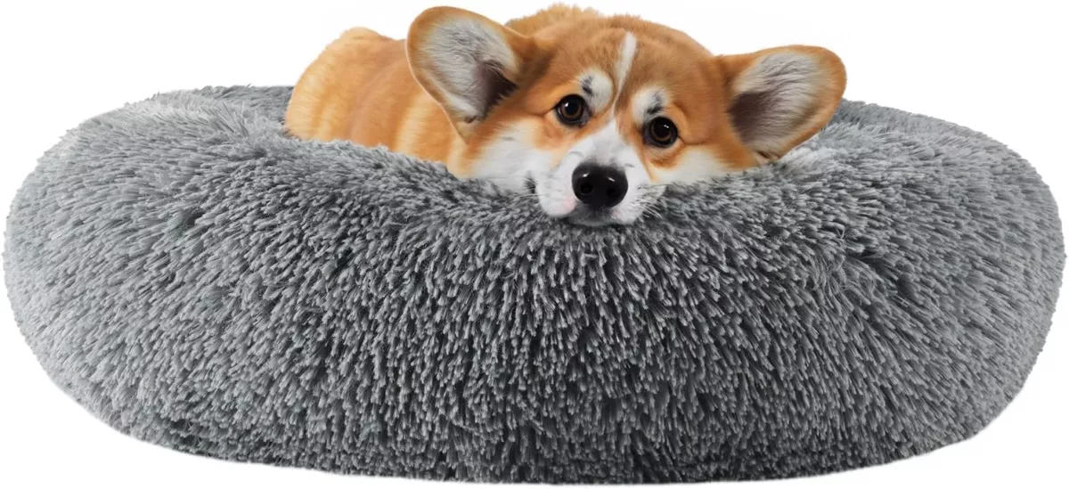 Las camas de colchón circular para perros son de las más comunes en el mercado y quizás también de las preferidas de los lomitos.