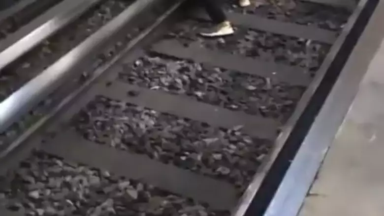 image_6483441 (2).JPG