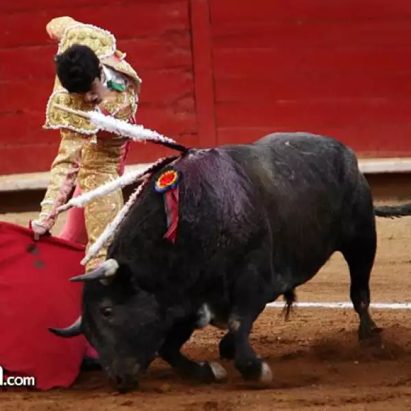 Matador Alejandro Talavante