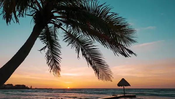 Palapa and palm tree on tropical beach at sunrise, Mayan Riviera, Mexico, Puerto Aventuras