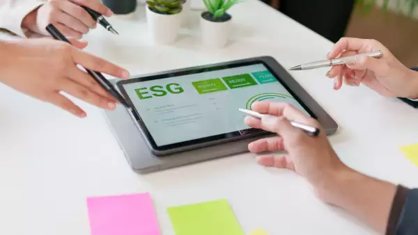 Sustainability strategy and ESG report analysis during business meeting