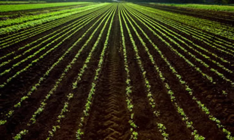 Los cambios a las reglas de operación de los programas de la Sagarpa servirán para agilizar los trámites. (Foto: Getty Images)