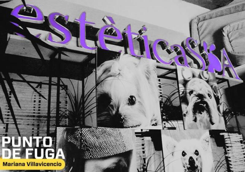 Spa canino_2