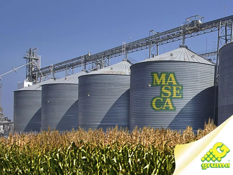 Gruma tuvo un primer trimestre de 2016 positivo por sus ganancias en el mercado estadounidense.