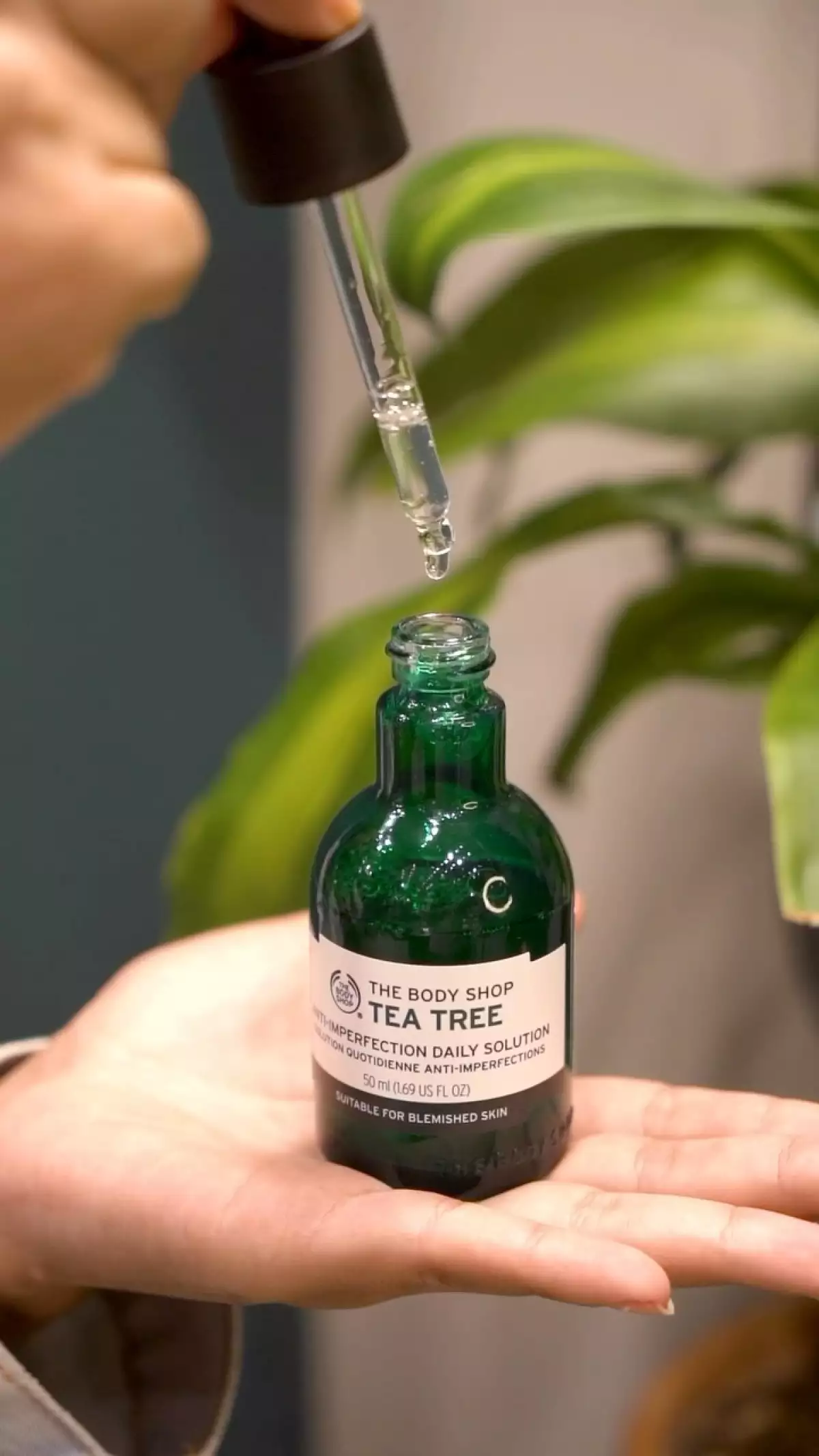 Beneficios del Tea Tree