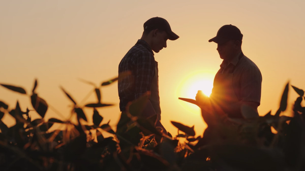 Agricultura