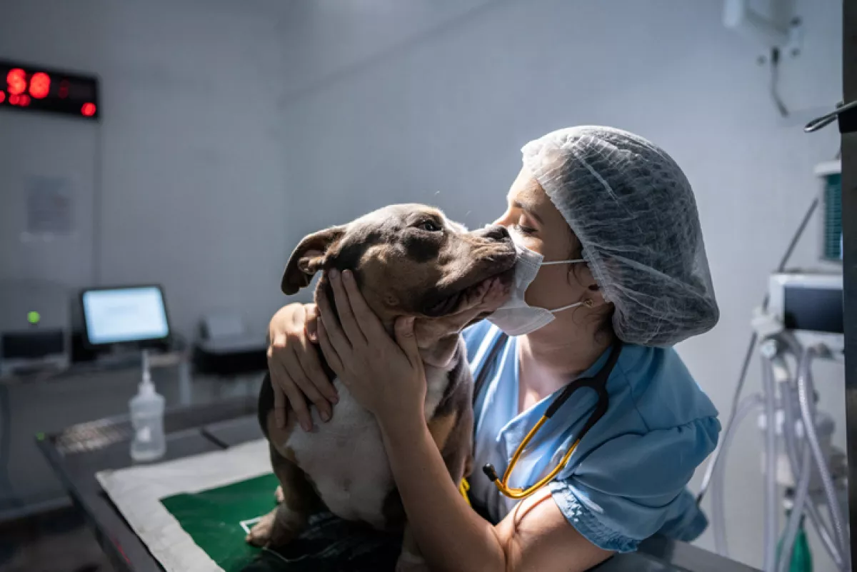 cuando-es-el-dia-mundial-del-veterinario