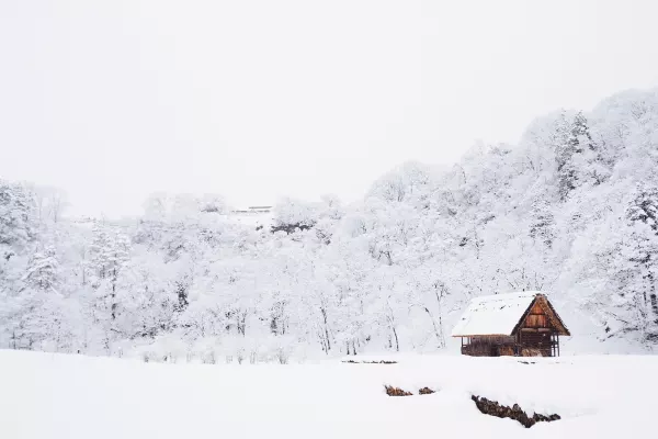 Parque Nacional nieve