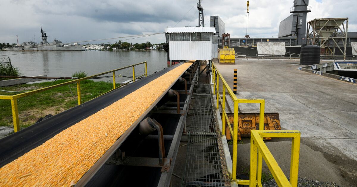 Luis Felipe Villaseñor y Liliana Garay/ Integralia