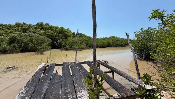 ecoturismo