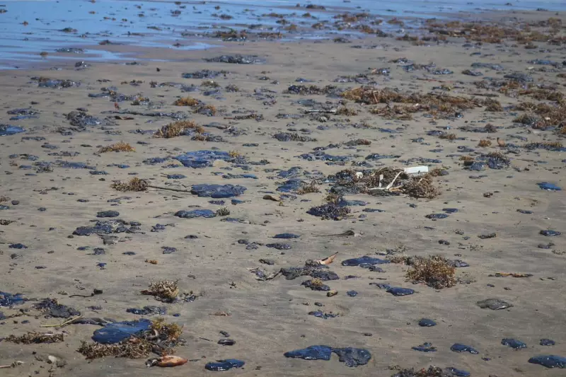 Pemex acepta culpa en derrame petrolero del Golfo de México 
